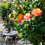 Apartments Zore Glavinic